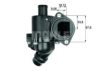 BEHR TM 3 100 Thermostat, coolant